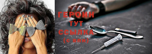 гидра Шарыпово