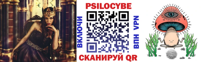 Псилоцибиновые грибы Psilocybe  Мглин 